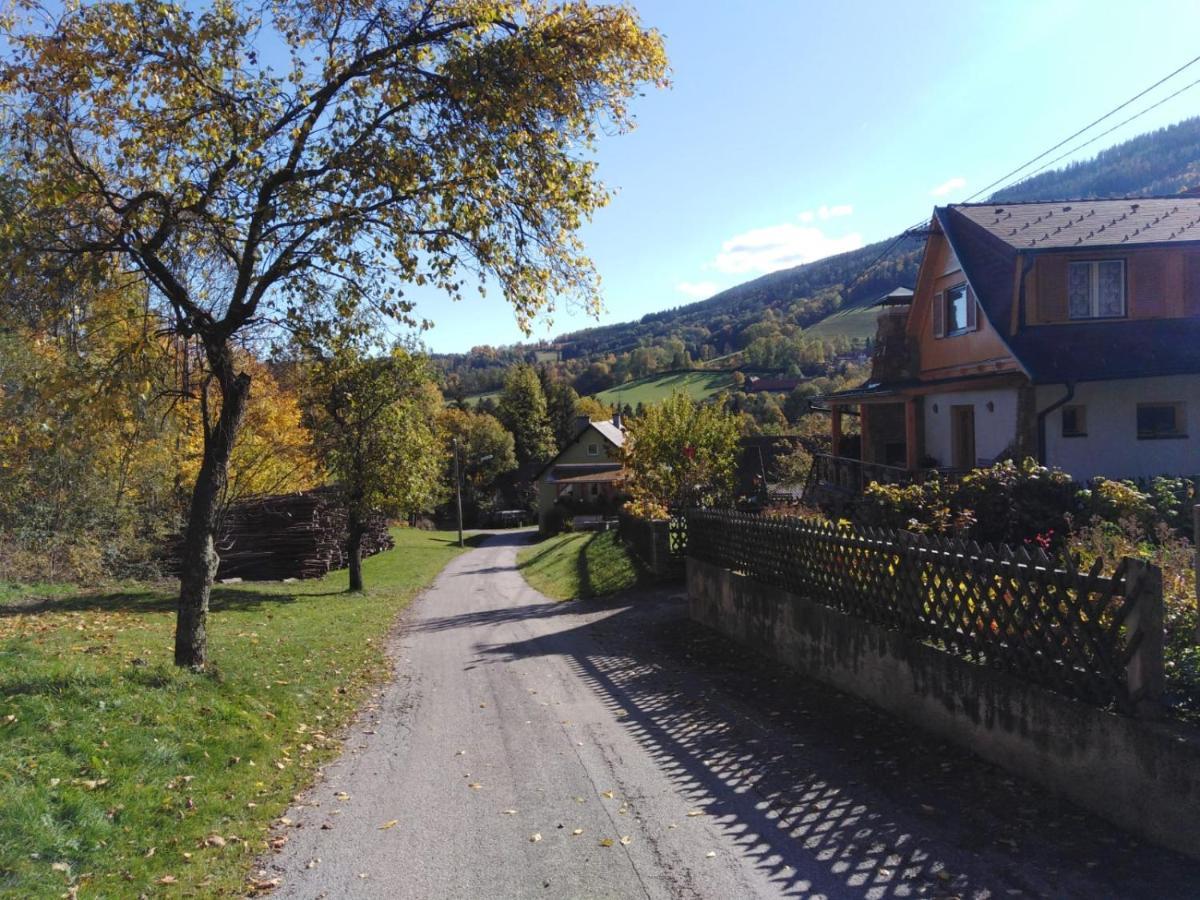 Ferienhaus Bauer Trattenbach  Zewnętrze zdjęcie